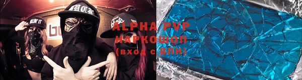 PSILOCYBIN Белокуриха