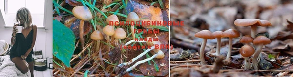 кокс Беломорск