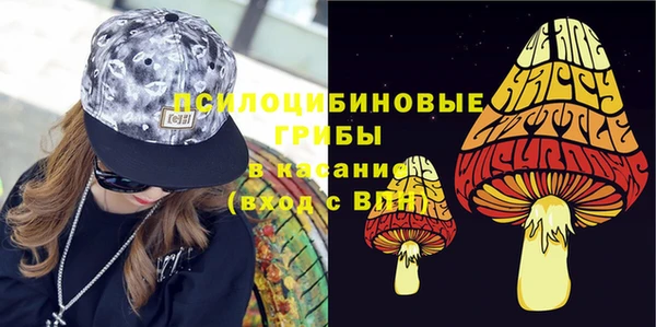 PSILOCYBIN Белокуриха