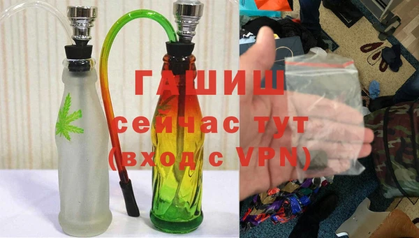 PSILOCYBIN Белокуриха