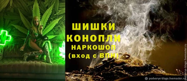 PSILOCYBIN Белокуриха